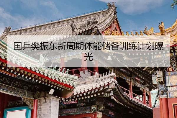 国乒樊振东新周期体能储备训练计划曝光